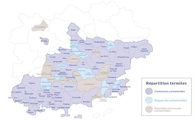 Répartition termites Var