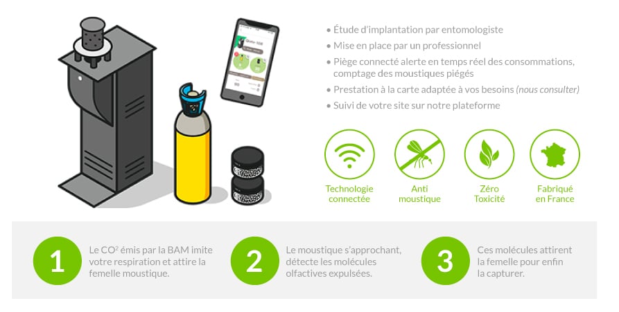 Élimination des punaises de lit sans pollution