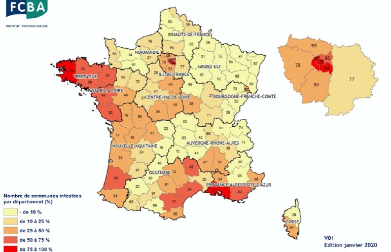 Carte présence mérule