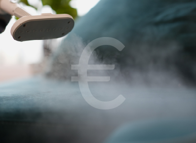 Combien coûte le service de désinsectisation